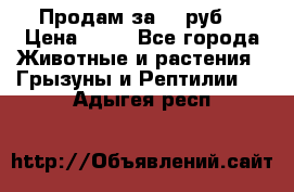 Продам за 50 руб. › Цена ­ 50 - Все города Животные и растения » Грызуны и Рептилии   . Адыгея респ.